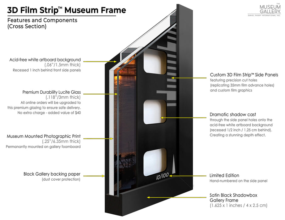 Prince Purple Rain Photo - 3D Film Strip Museum Frame - Facsimile Signed Limited Edition Shadowbox