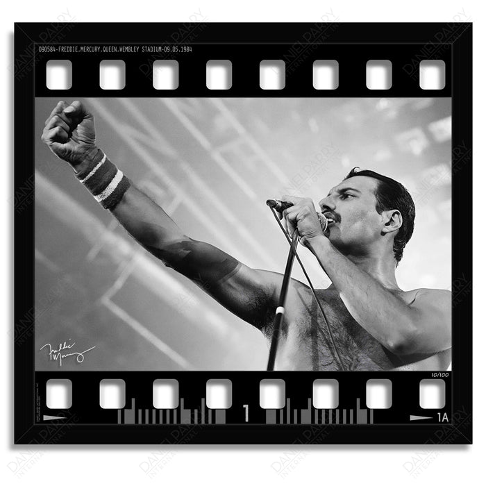 Freddie Mercury Queen Photo - 3D Film Strip Museum Frame - Facsimile Signed Limited Edition Shadowbox