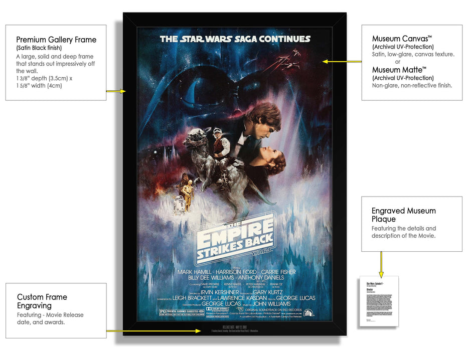 Star Wars Episode V The Empire Strikes Back Movie Poster Framed Non-glare Museum Matte - Archival UV Protection