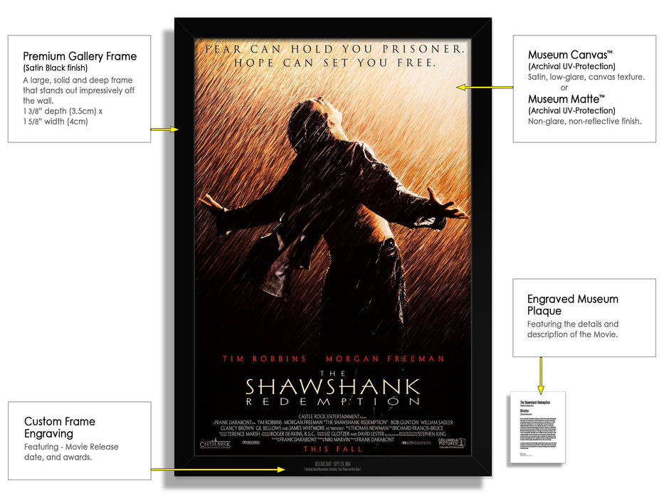 The Shawshank Redemption Movie Poster Framed Non-glare Museum Matte - Archival UV Protection