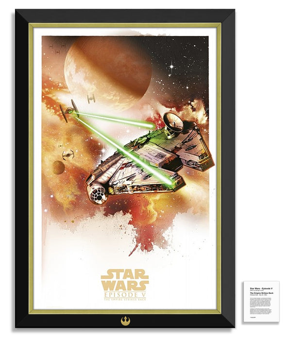 Star Wars Episode V - The Empire Strikes Back Millenium Falcon Tie Fighters - Museum Canvas ™ Special Edition